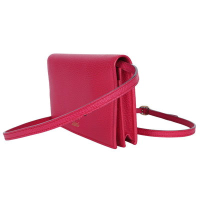 Swing Wallet on a Chain