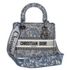 Canvas Embroidered Brocart Medium Lady D